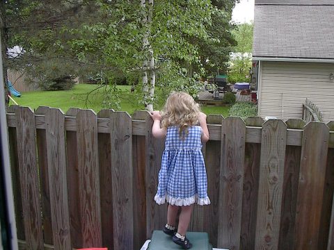 A young child in a blue gingham dress stands on a green stool behind a wooden fence, looking out into a grassy backyard with trees and a house.