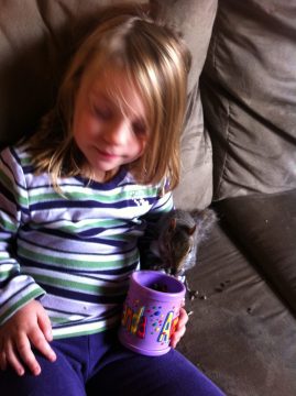 A young child with blonde hair wearing a striped shirt sits on a couch holding a purple cup while a squirrel eats from it.